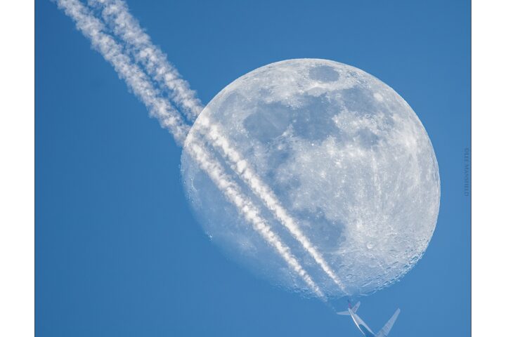 Fly me to the Moon - Lee Mansfield