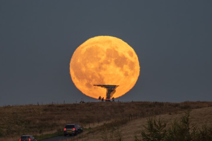 Singing Ringing Tree Moon - Lee Mansfield 1