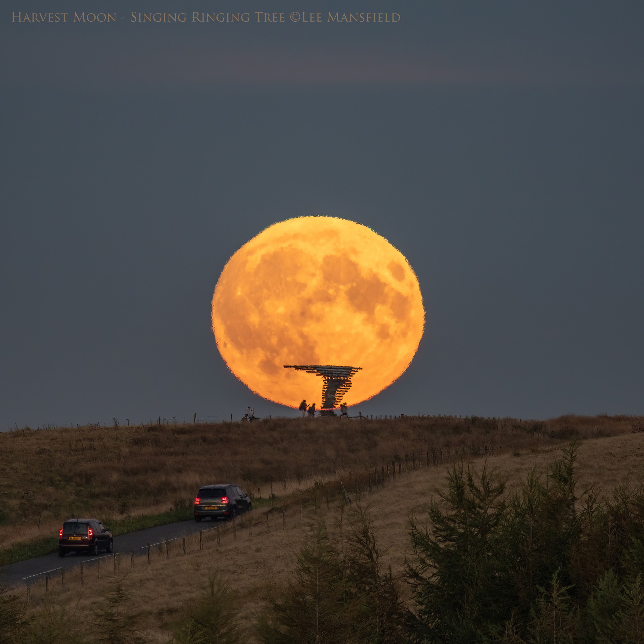 Singing Ringing Tree Moon - Lee Mansfield 1