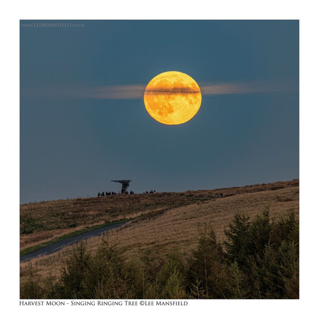 Singing Ringing Tree Moon - Lee Mansfield 2 - Lee Mansfield Photography