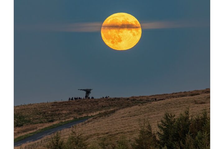 Singing Ringing Tree Moon - Lee Mansfield 1